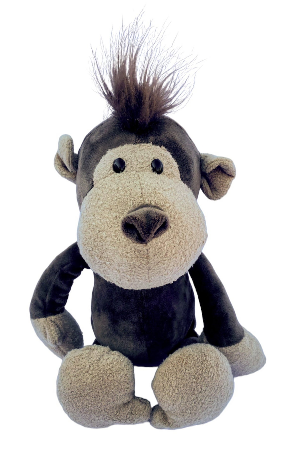Meet Milo the Marvelous Monkey!