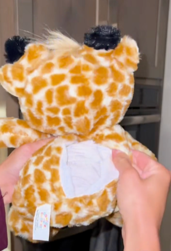 George the Gentle Giraffe