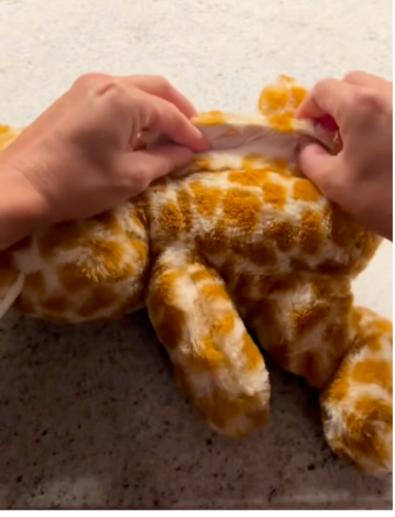 George the Gentle Giraffe