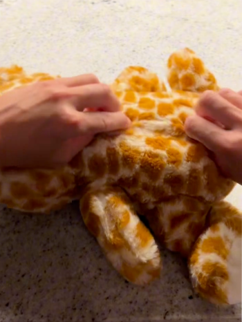 George the Gentle Giraffe